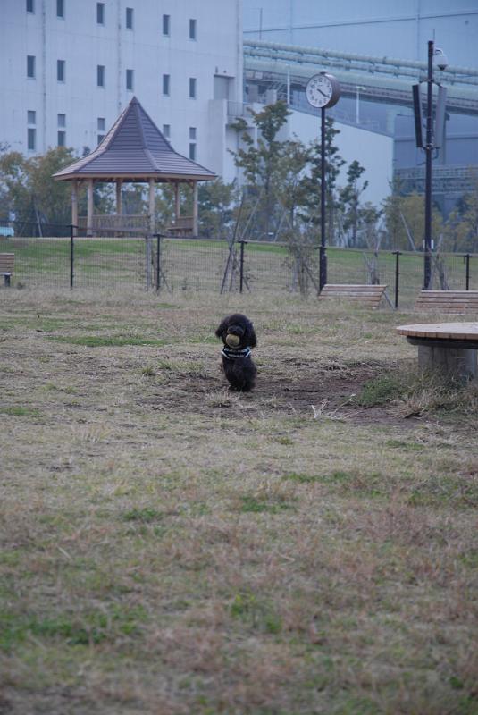 DSC_8747.JPG