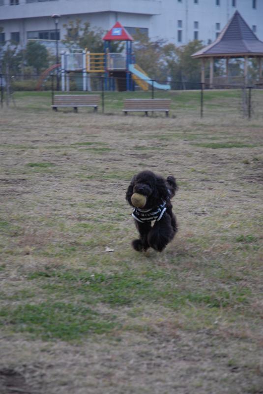 DSC_8749.JPG