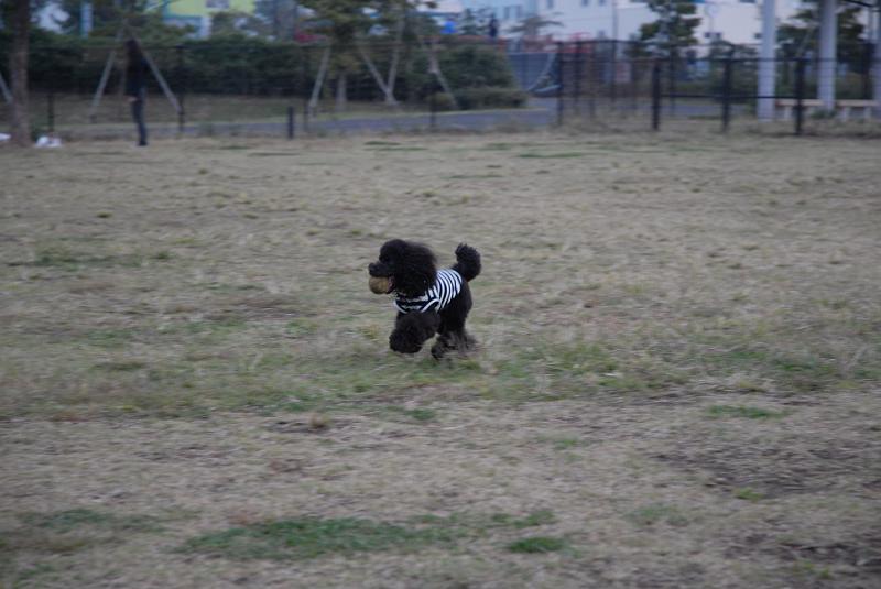 DSC_8756.JPG