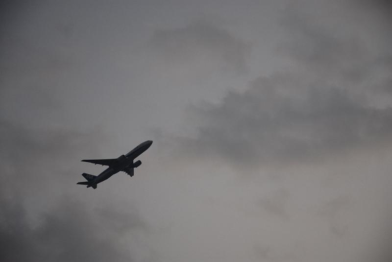 DSC_8778.JPG