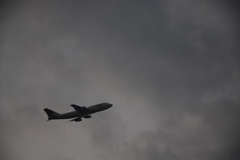 DSC_8782.JPG
