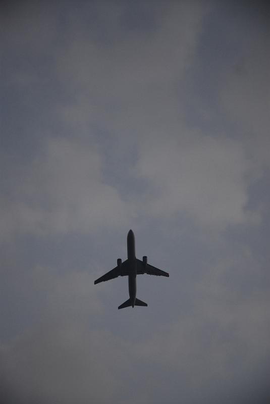DSC_8784.JPG