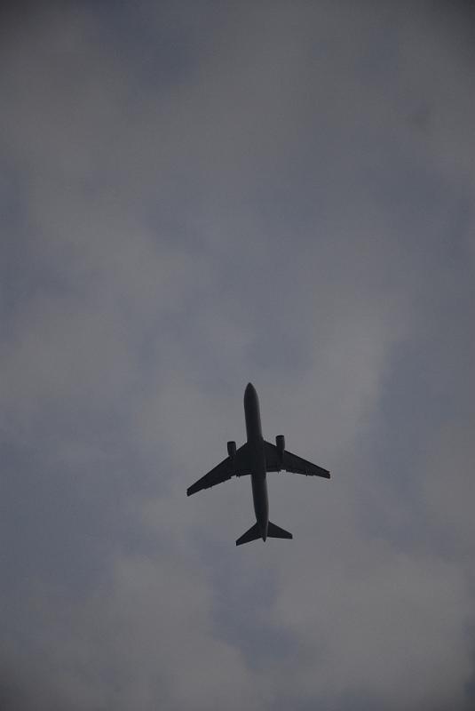 DSC_8786.JPG