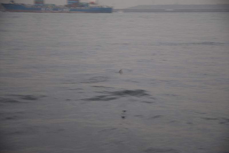 DSC_8791.JPG