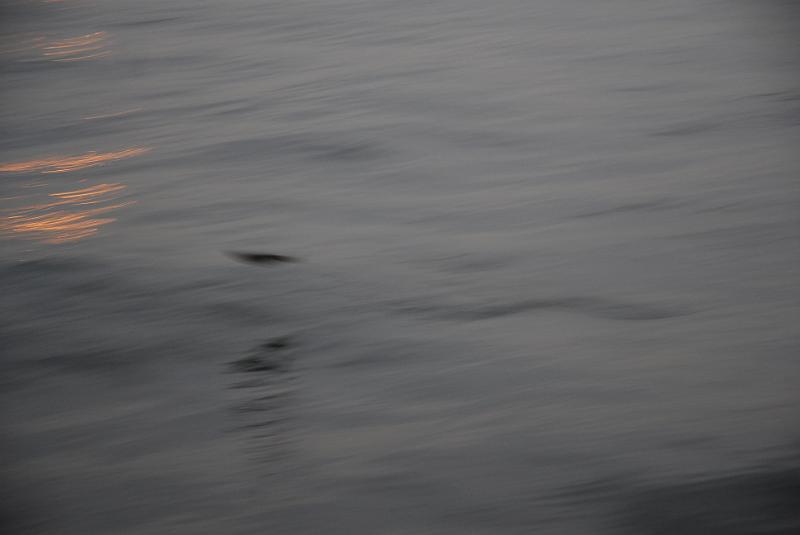 DSC_8792.JPG