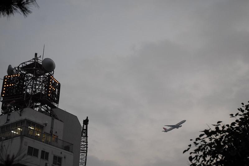 DSC_8797.JPG