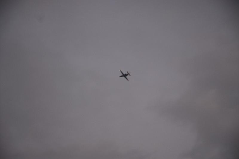 DSC_8799.JPG