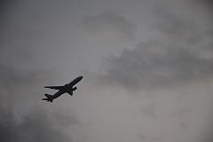 DSC_8778