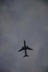 DSC_8788