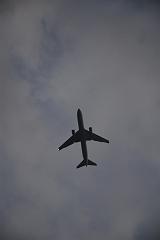 DSC_8790