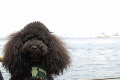 DSC_8826