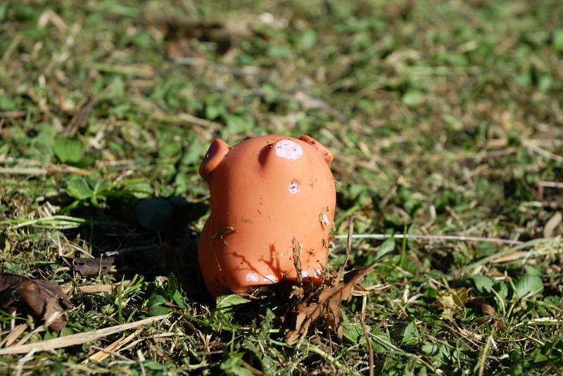 DSC_8850.jpg