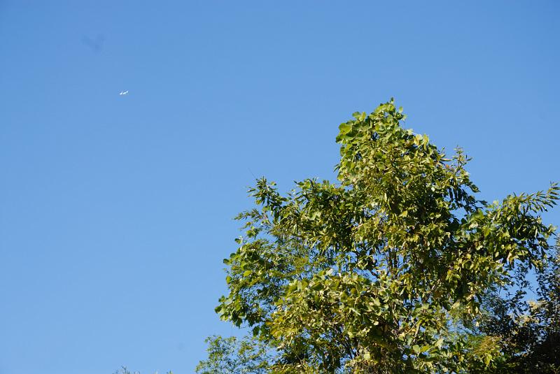 DSC_8865.jpg