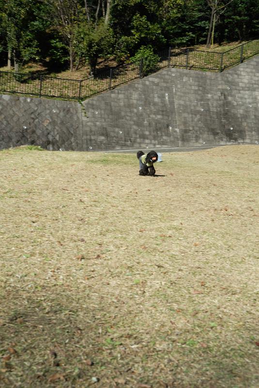 DSC_8880.jpg