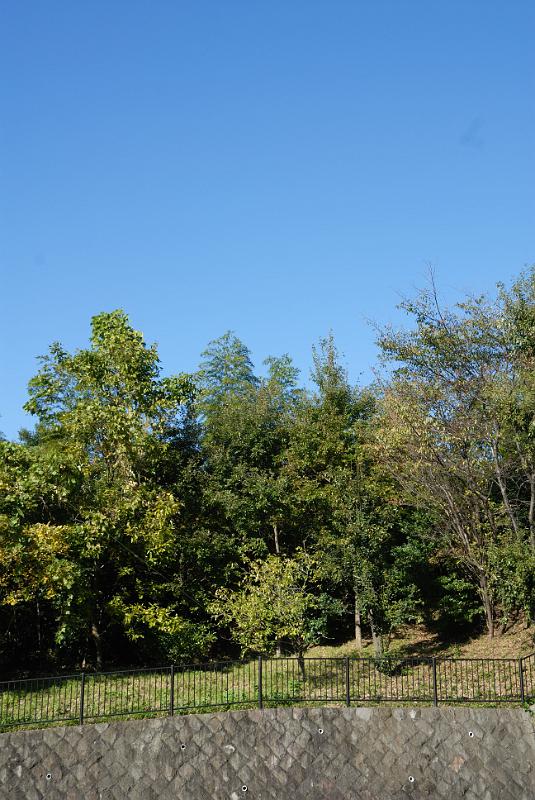 DSC_8882.jpg