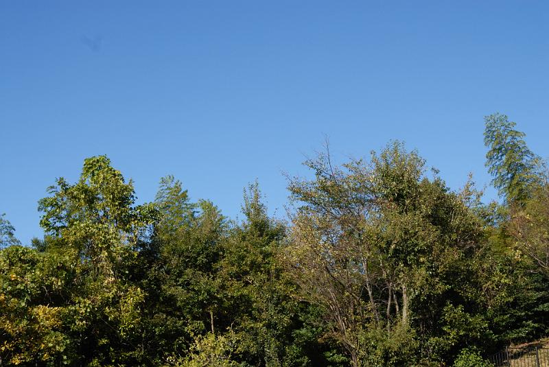 DSC_8883.jpg