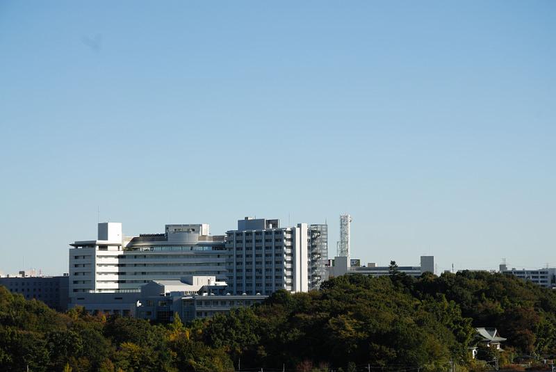 DSC_8890.jpg