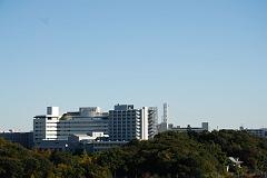 DSC_8890
