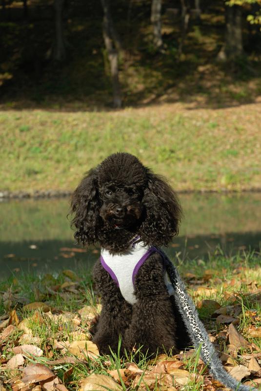 DSC_8893.jpg