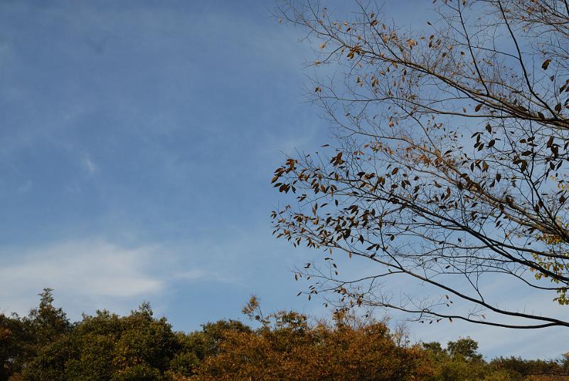 DSC_8905.jpg