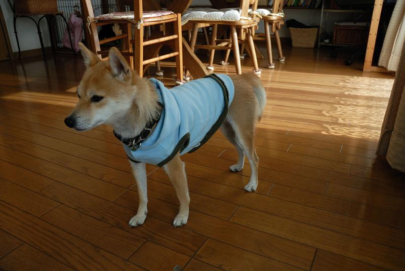 DSC_8922.jpg