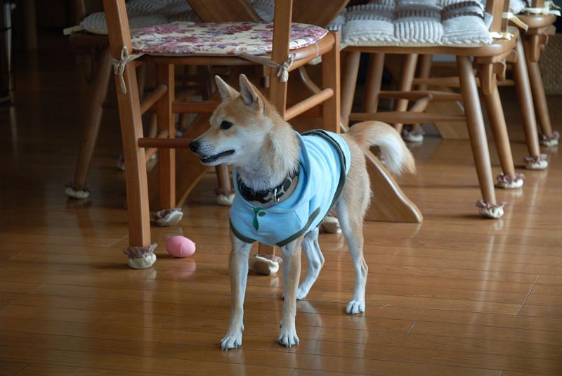 DSC_8930.jpg