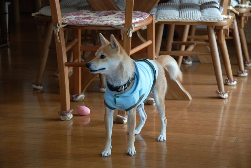 DSC_8931.jpg