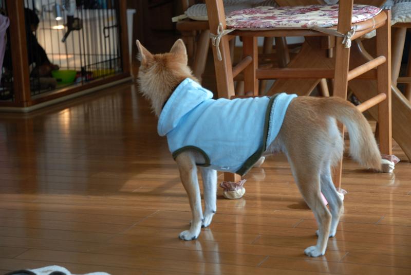 DSC_8934.jpg