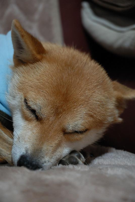 DSC_8942.jpg