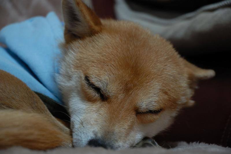 DSC_8944.jpg