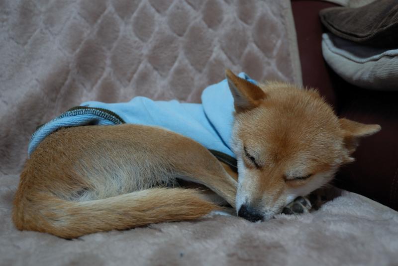 DSC_8945.jpg