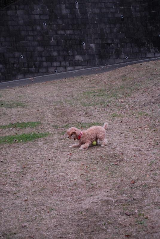 DSC_9042.jpg
