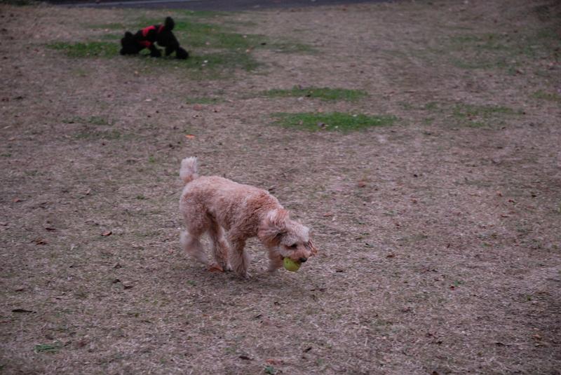 DSC_9051.jpg