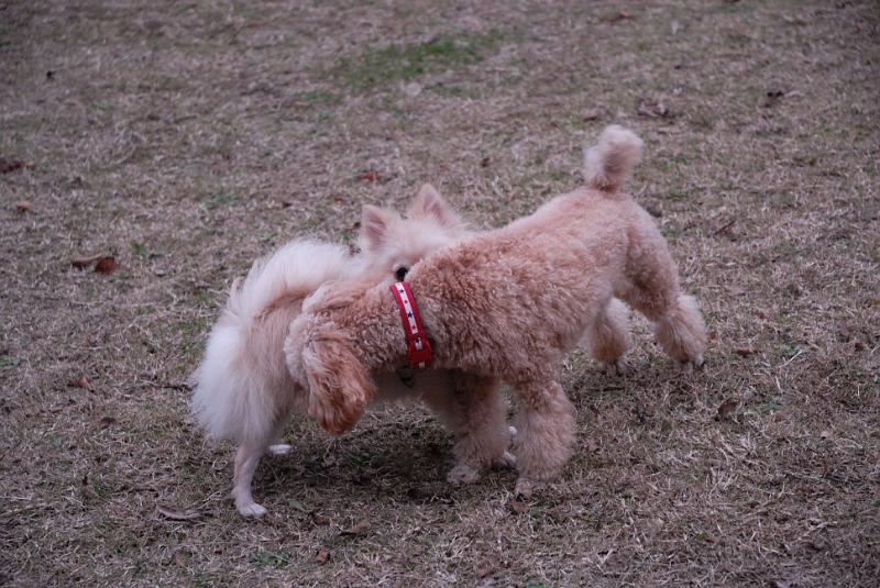 DSC_9052.jpg