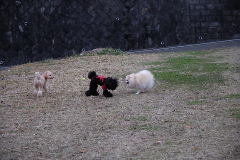 DSC_9053.jpg