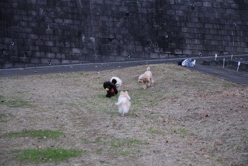 DSC_9055.jpg