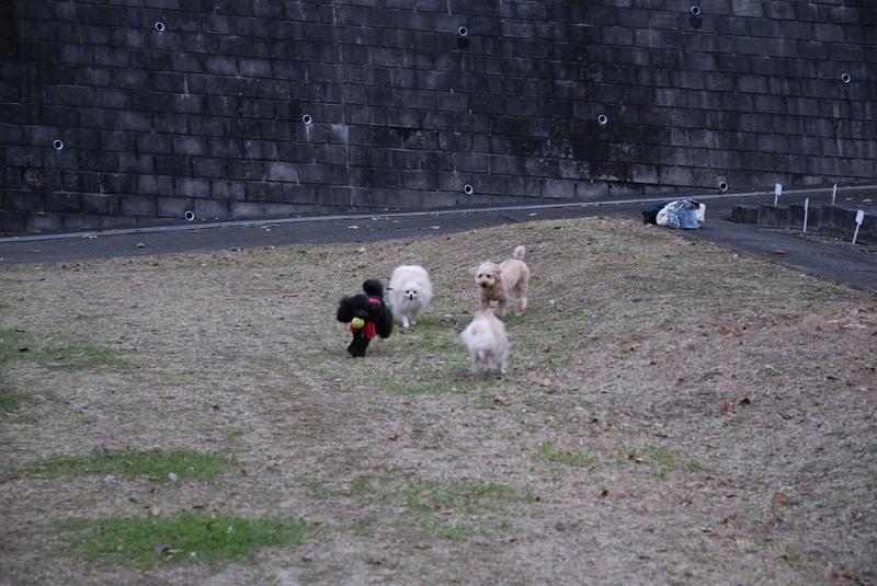 DSC_9056.jpg