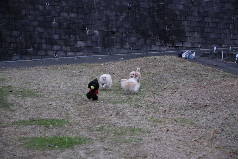 DSC_9057.jpg