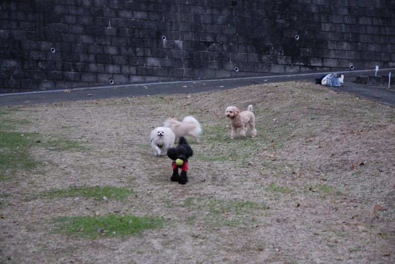 DSC_9058.jpg