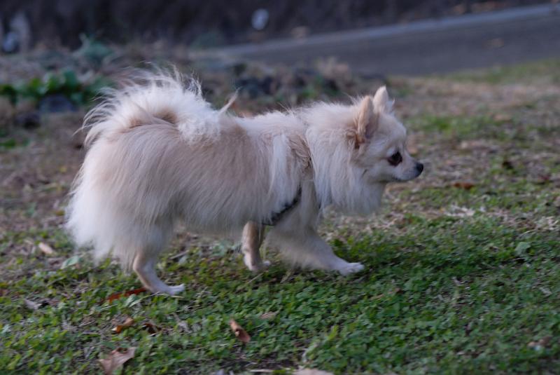 DSC_9089.jpg