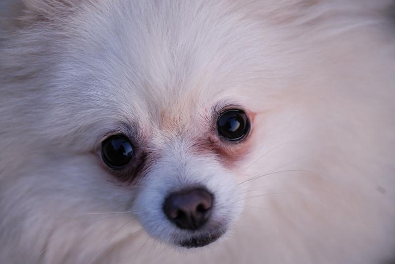 DSC_9097.jpg