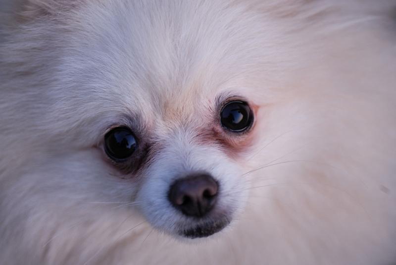 DSC_9098.jpg
