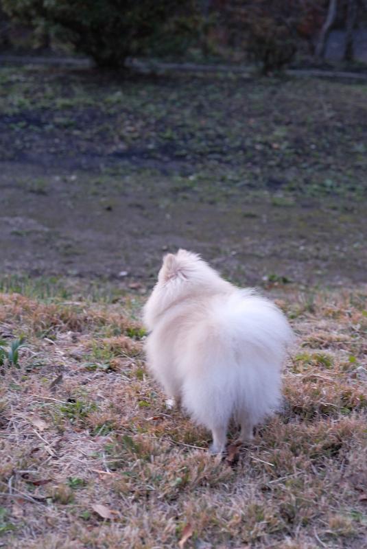 DSC_9109.jpg
