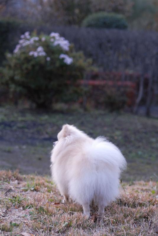 DSC_9110.jpg