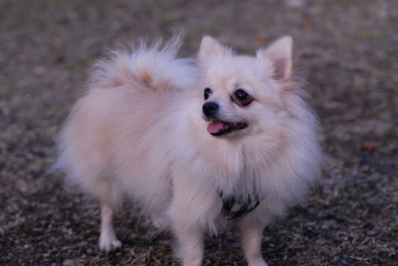 DSC_9114.jpg