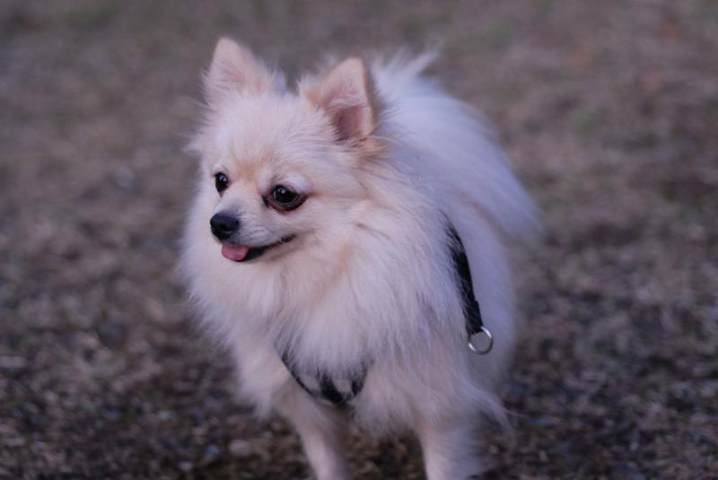 DSC_9115.jpg