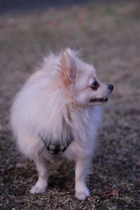 DSC_9116.jpg
