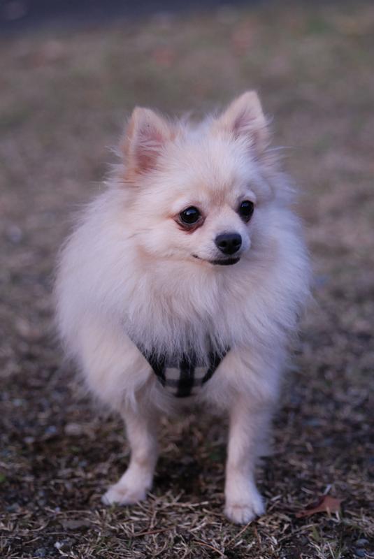 DSC_9118.jpg