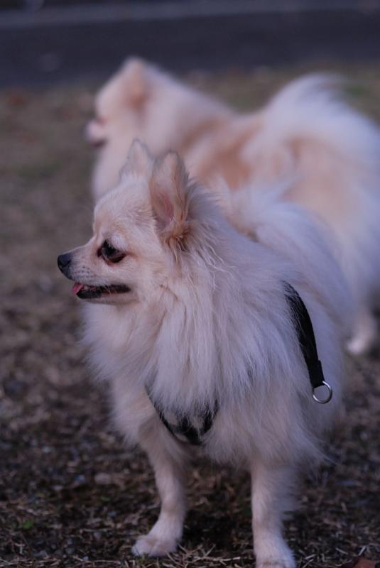 DSC_9120.jpg
