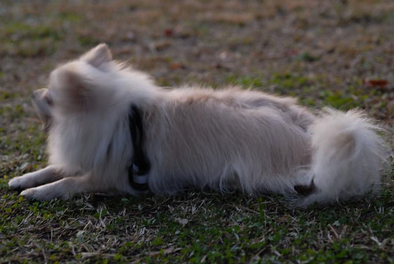 DSC_9121.jpg
